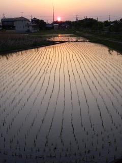 13.05.09 020 cڂɗ[@k.JPG