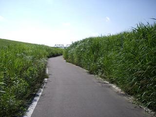 13.06.27 CTCNO 009 k.JPG