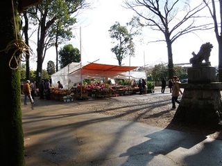 14.01.09 003 一言主神社内のお花屋さん.jpg