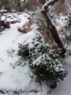 14.02.08 005 雪道.jpg
