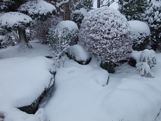 14.02.08 034 雪山.jpg