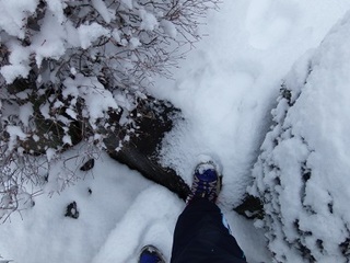 14.02.08 035 雪山ハイキング.jpg