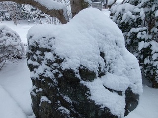 14.02.08 036 山頂.jpg