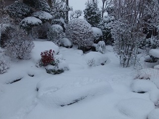 14.02.08 042 雪山.jpg