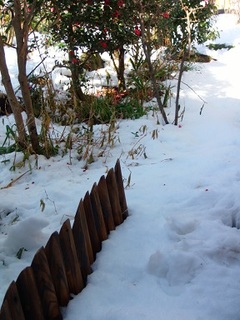 14.02.09 018 小人がいそうな径.jpg