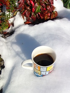 14.02.09 019 午後のコーヒー.jpg