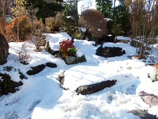 14.02.09 020 雪山.jpg