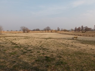 14.03.12 002 子供広場.jpg
