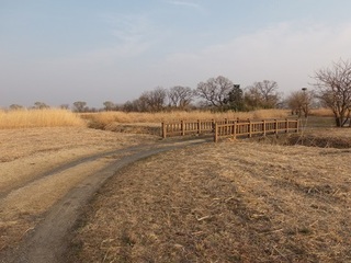 14.03.12 028 延命橋.jpg