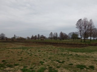 14.03.27 011 子供広場.jpg