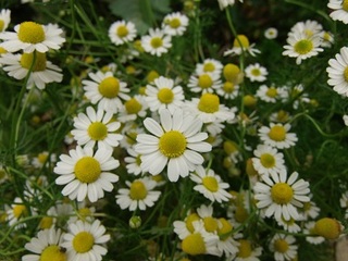 14.05.20 021 J~[.jpg