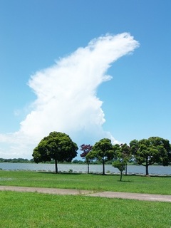 14.06.13 021 恐ろしい雲.jpg