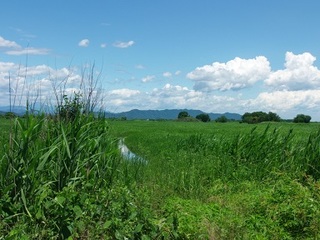 14.06.13 025 太平山.jpg