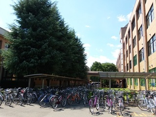 14.09.14 顕桜祭 005 自転車いっぱい.jpg
