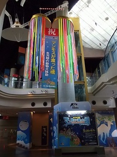 15.01.08 wƔ 011 }Xn.jpg