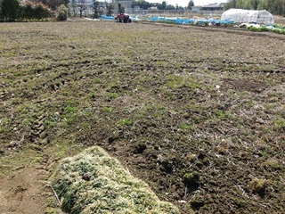 15.03.12 002 耕し始め.jpg