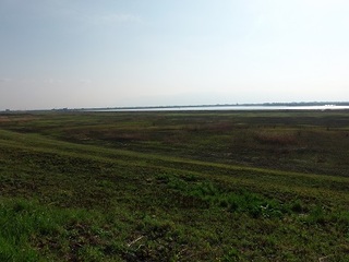 15.04.09 002 野渡橋方面から.jpg
