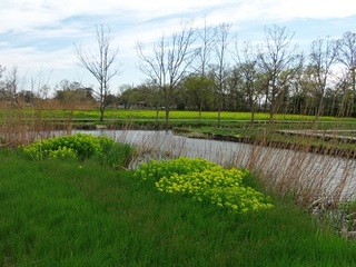 15.04.15 ノウルシ 031 水場.jpg