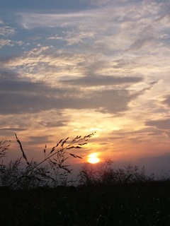 15.08.16 001 西方浄土.jpg