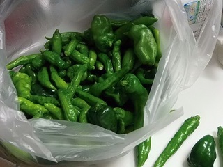 15.08.24 021 緑野菜.jpg