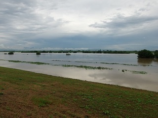 15.09.10 020 利根川増水時.jpg