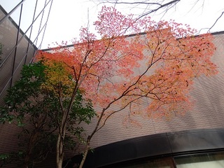 15.12.10 019 博物館 紅葉.jpg