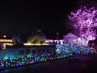 15.12.24 東武動物公園イルミ 009 カバ像.jpg