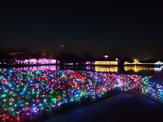 15.12.24 東武動物公園イルミ 011 白鳥の池.jpg
