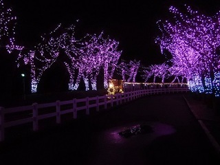 15.12.24 東武動物公園イルミ 018 太陽の恵みパークライン.jpg
