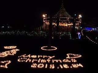 15.12.24 東武動物公園イルミ 034 キャンドルナイト.jpg