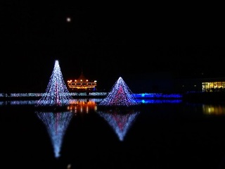 15.12.24 東武動物公園イルミ 044 鯉牧場.jpg