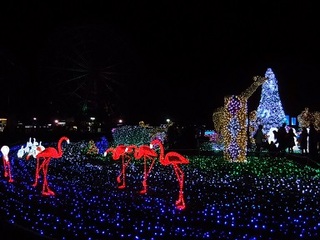 15.12.24 東武動物公園イルミ 047 光の動物たち.jpg