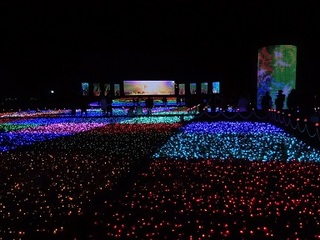 15.12.24 東武動物公園イルミ 053 ライブイルミネーション.jpg