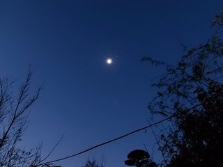 16.01.01 初日の出 011 月と木星.jpg