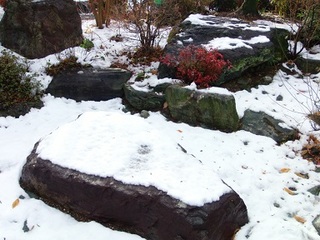 16.01.18 002 雪山ハイキング.jpg