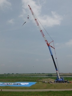 16.05.03 010 N[.jpg