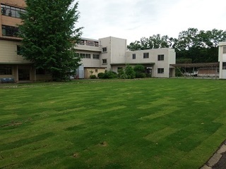 16.06.25 顕桜祭 008 1号棟跡.jpg