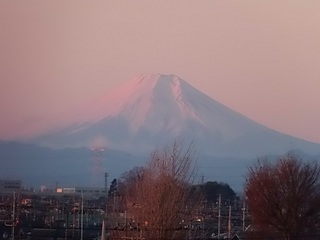 19.01.01 018 富士山.jpg