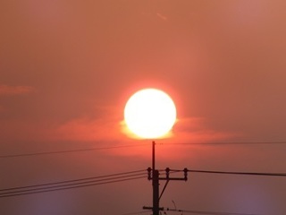 夏至16.06.21 016.jpg