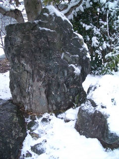 IMGP7184.JPG