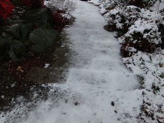 P1300019 登山道入り口.jpg
