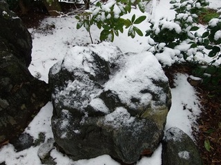 P1300029 山頂付近の峰.jpg