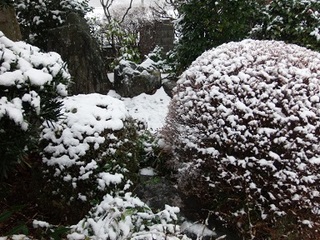 P1300035 山頂付近.jpg