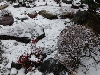 P1300036 下界.jpg