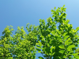 P5020573 \.jpg