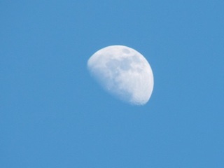 P5090685 夕立後の月.jpg