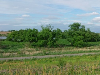 P5150078 河川敷.jpg