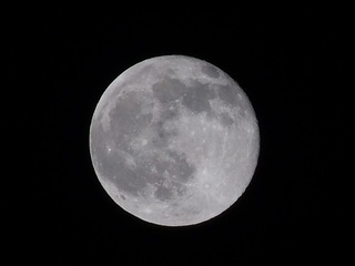 P5150082 満月.jpg