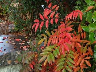 PB300467 n[.jpg